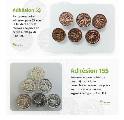 Adhésion Cuivre Argent