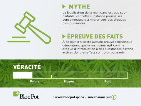 Le cannabis n'est pas une drogue d'introduction contrairement à l'alcool