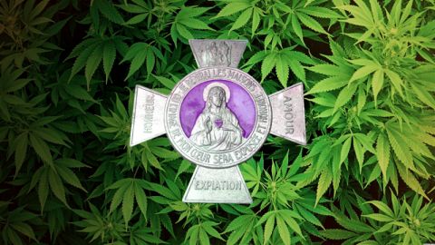 Je bénirai les maisons où mon cannabis sera exposé et honoré!