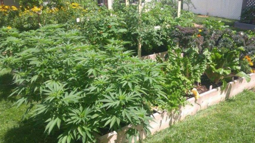 Un des jardins de la nation