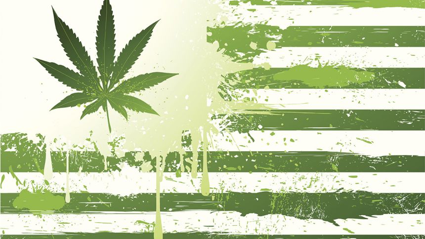 Le cannabis aux urnes – Résultats des élections de mi-mandat aux États-Unis