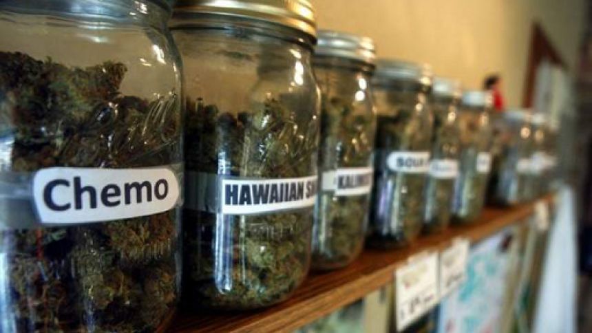 Les variétés de cannabis : du jargon à la science